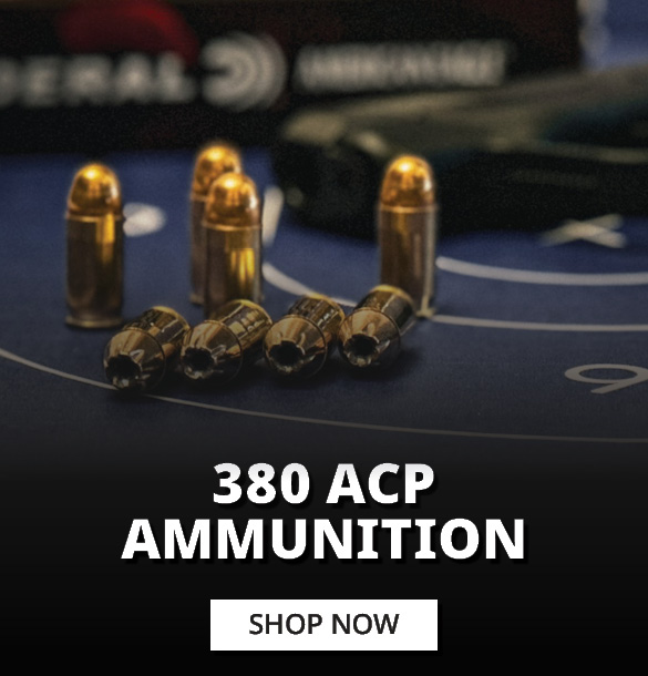 380 ACP Ammunition